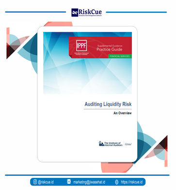 Sampul Auditing Liquidity Risk